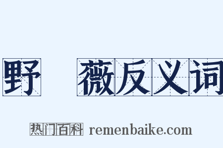 野薔薇反义词是什么意思的图片